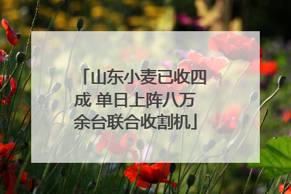 山东小麦已收四成 单日上阵八万余台联合收割机