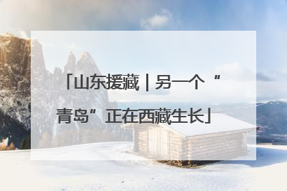 山东援藏｜另一个“青岛”正在西藏生长