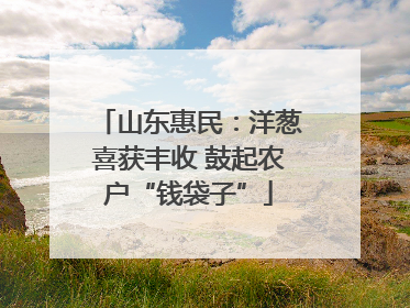 山东惠民：洋葱喜获丰收 鼓起农户“钱袋子”