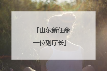山东新任命一位副厅长