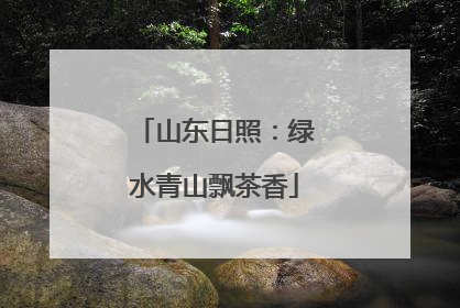 山东日照：绿水青山飘茶香