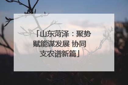 山东菏泽：聚势赋能谋发展 协同支农谱新篇