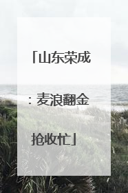 山东荣成：麦浪翻金抢收忙