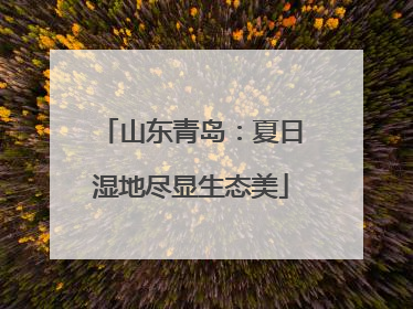 山东青岛：夏日湿地尽显生态美