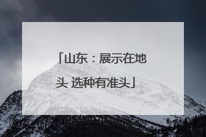 山东：展示在地头 选种有准头