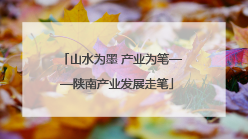山水为墨 产业为笔——陕南产业发展走笔