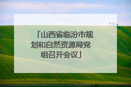 山西省临汾市规划和自然资源局党组召开会议
