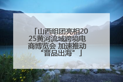 山西组团亮相2025黄河流域跨境电商博览会 加速推动“晋品出海”