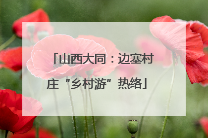山西大同：边塞村庄“乡村游”热络