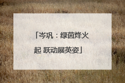 岑巩：绿茵烽火起 跃动展英姿
