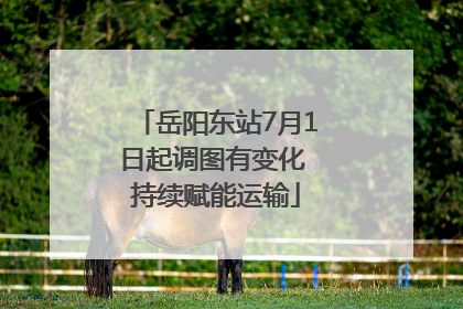 岳阳东站7月1日起调图有变化 持续赋能运输