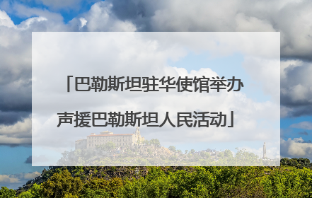 巴勒斯坦驻华使馆举办声援巴勒斯坦人民活动