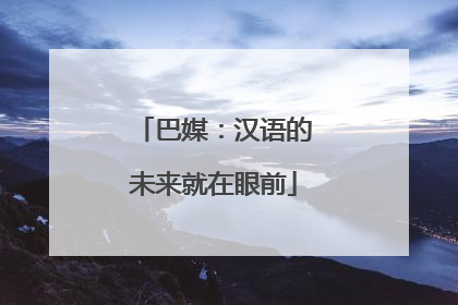 巴媒：汉语的未来就在眼前