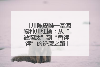 川陈皮唯一基源物种川红橘：从“被淘汰”到“香饽饽”的逆袭之路