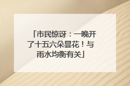 市民惊讶：一晚开了十五六朵昙花！与雨水均衡有关