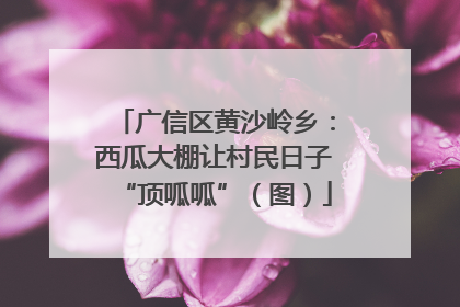 广信区黄沙岭乡：西瓜大棚让村民日子“顶呱呱”（图）