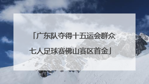 广东队夺得十五运会群众七人足球赛佛山赛区首金