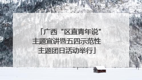 广西“区直青年说”主题宣讲暨五四示范性主题团日活动举行