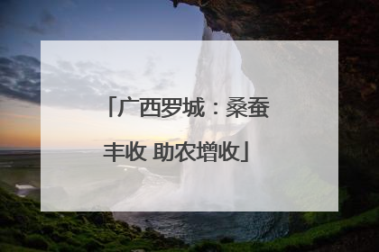 广西罗城：桑蚕丰收 助农增收