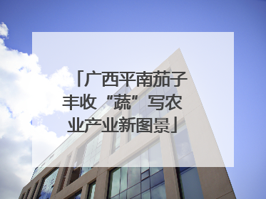 广西平南茄子丰收“蔬”写农业产业新图景