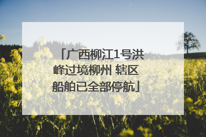 广西柳江1号洪峰过境柳州 辖区船舶已全部停航