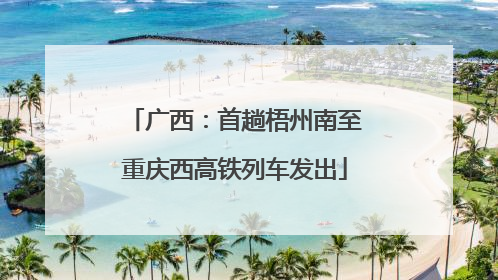 广西：首趟梧州南至重庆西高铁列车发出