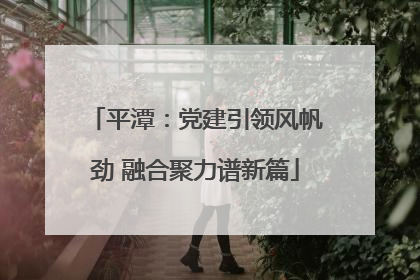平潭：党建引领风帆劲 融合聚力谱新篇