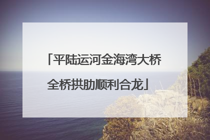 平陆运河金海湾大桥全桥拱肋顺利合龙