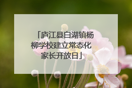 庐江县白湖镇杨柳学校建立常态化家长开放日