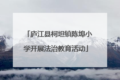 庐江县柯坦镇陈埠小学开展法治教育活动
