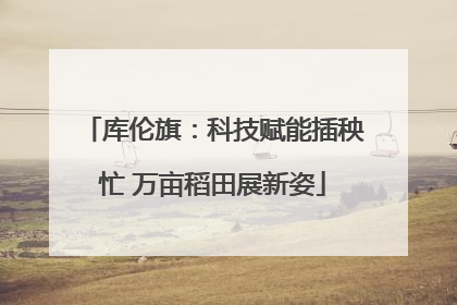 库伦旗：科技赋能插秧忙 万亩稻田展新姿