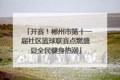 开赛！郴州市第十一届社区篮球联赛点燃盛夏全民健身热潮