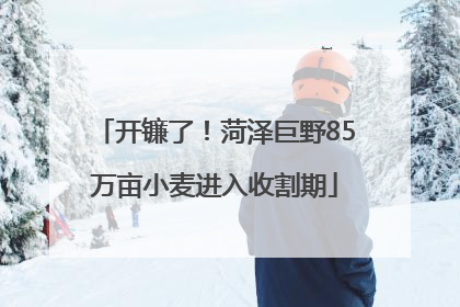 开镰了！菏泽巨野85万亩小麦进入收割期