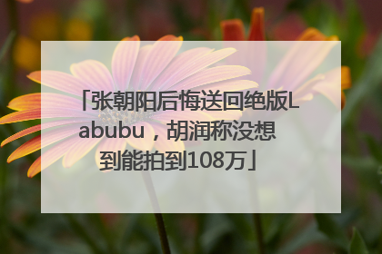 张朝阳后悔送回绝版Labubu，胡润称没想到能拍到108万