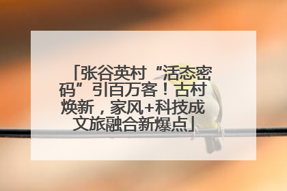 张谷英村“活态密码”引百万客！古村焕新，家风+科技成文旅融合新爆点