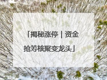 揭秘涨停｜资金抢筹核聚变龙头