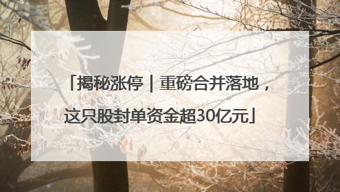 揭秘涨停｜重磅合并落地，这只股封单资金超30亿元