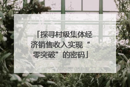 探寻村级集体经济销售收入实现“零突破”的密码