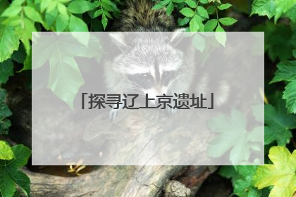 探寻辽上京遗址