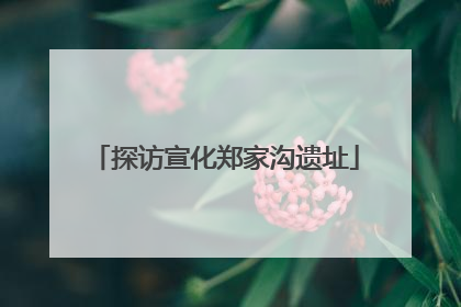 探访宣化郑家沟遗址