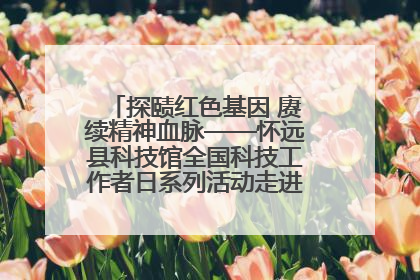 探赜红色基因 赓续精神血脉——怀远县科技馆全国科技工作者日系列活动走进怀远县实验中学