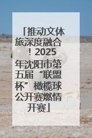 推动文体旅深度融合！2025年沈阳市第五届“联盟杯”橄榄球公开赛燃情开赛