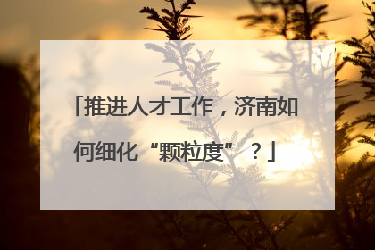 推进人才工作，济南如何细化“颗粒度”？