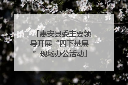 惠安县委主要领导开展“四下基层”现场办公活动