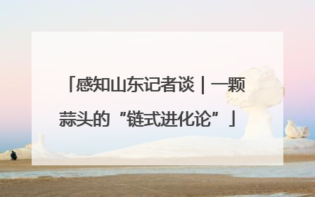 感知山东记者谈｜一颗蒜头的“链式进化论”