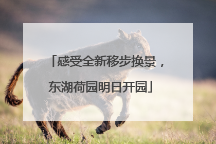 感受全新移步换景，东湖荷园明日开园
