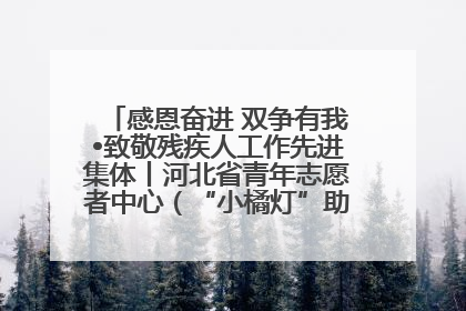 感恩奋进 双争有我•致敬残疾人工作先进集体丨河北省青年志愿者中心（“小橘灯”助残接力计划实施团队）：用温暖陪伴，守护特殊孩子成长