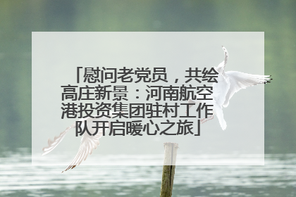 慰问老党员，共绘高庄新景：河南航空港投资集团驻村工作队开启暖心之旅