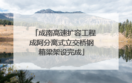 成南高速扩容工程成阿分离式立交桥钢箱梁架设完成