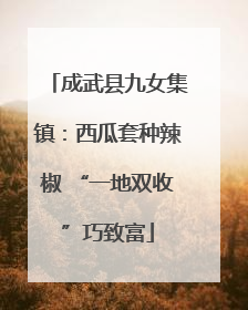 成武县九女集镇：西瓜套种辣椒 “一地双收”巧致富